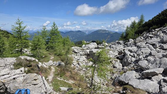 Foto von euterpe42 entlang der Tour