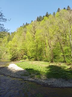 Foto von Laifernorbert entlang der Tour