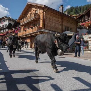 Historisches Dorf Grimentz.