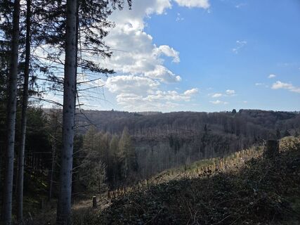 Zdjęcie z Silke S. wzdłuż trasy