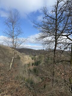 Zdjęcie z Michael Rosenfelder 1 wzdłuż trasy