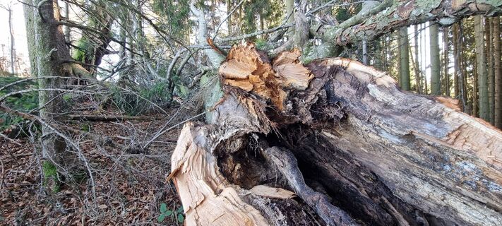 Foto von Gabi G entlang der Tour