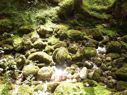 Bei den Karstquellen "Strummern"