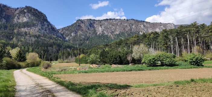 Photo de Johann Edelmann le long du parcours