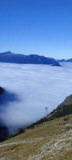 Fotografija s spletne strani Ineswanki na poti