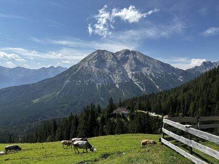Foto von Luc Azzeri entlang der Tour