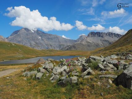 A068 Alpen