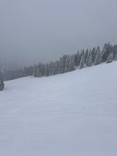 Foto von Dana.Wafai entlang der Tour