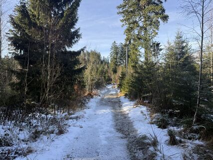 Fotografija s spletne strani Nico Eisner na poti