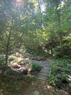 Fotografija s spletne strani Enikő Simonitsné Herczeg na poti