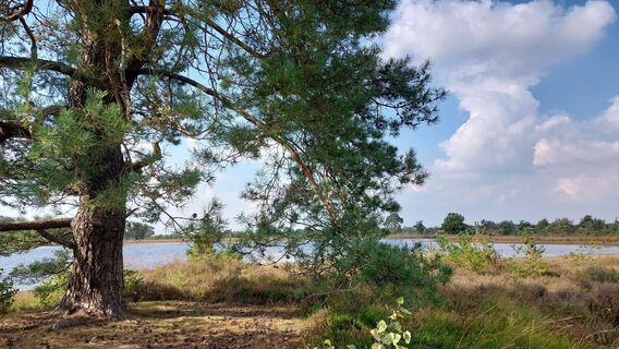 Foto von wandelstef entlang der Tour