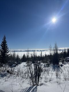 Fotografija s spletne strani Vivien Winter na poti