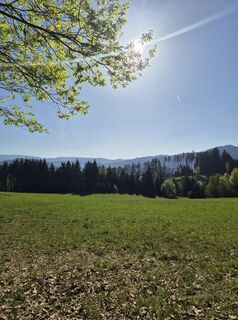 Fotografie z Anna Kopfmüller na trase