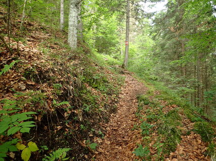 Aufstiegssteig