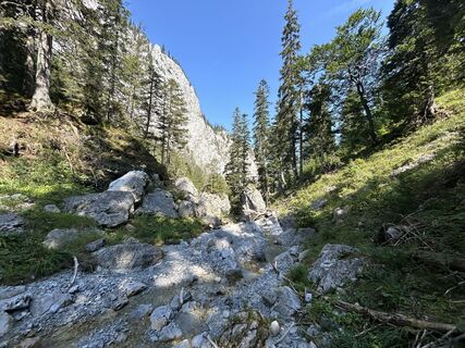 Photo de Stefan Plank le long du parcours