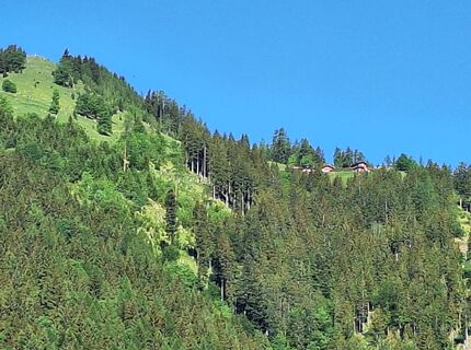 Fotografija s spletne strani Gabrielasttz na poti
