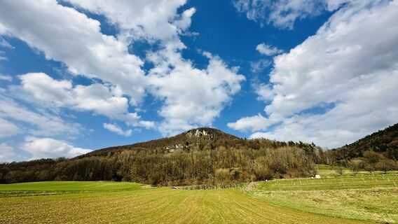 Foto de Vicont0706 a lo largo del recorrido