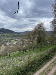 Foto von lotharkoerner entlang der Tour