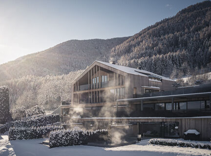 Chalet Purmontes