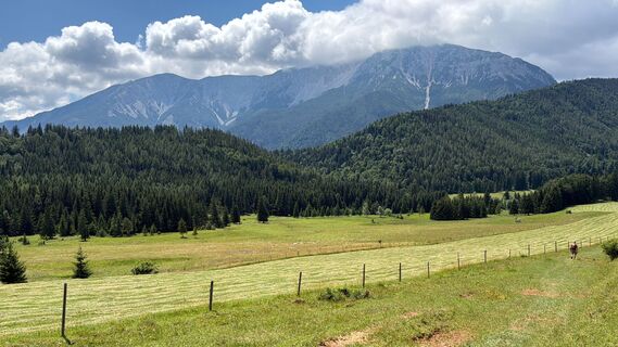 Foto von W Csermag entlang der Tour