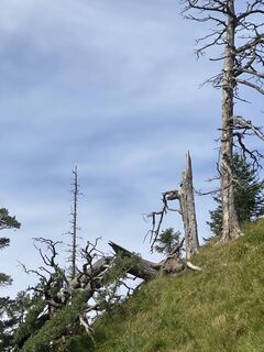 Foto von Harald Köbler entlang der Tour