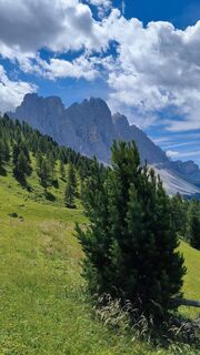 Photo de walrei le long du parcours