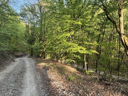 Photo de Reti Alicia le long du parcours