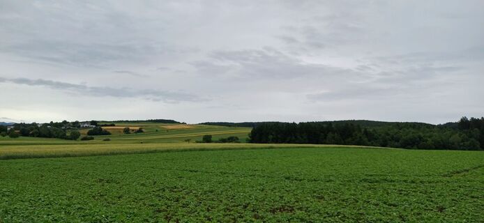 Photo de Helmut le long du parcours