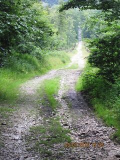 Steilabfahrt im Osthang, die Route führt direkt auf die Externsteine zu