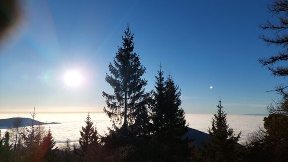 Zetz_Weiz_Oststeiermark