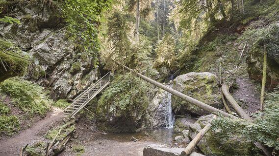 Wandern in der Lotenbachklamm - Blick von oben auf einen Steg