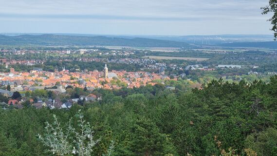 Foto från Merseburg under resans gång