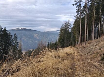 Foto von maria_hochschwab entlang der Tour