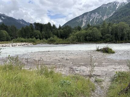Photo de Grizzli le long du parcours