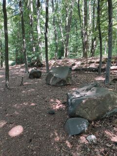 Steine des Geologischen Lehrpfads