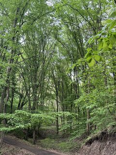 Fotografia z Nóra Adamkovich na trase