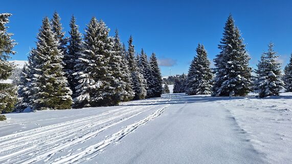 Zdjęcie z Karl Kriegseisen wzdłuż trasy