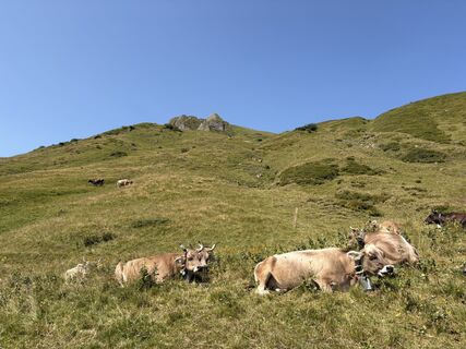 Foto von Stucki Sven entlang der Tour