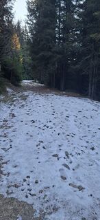 Fotografia z Mario Thomaschütz na trase