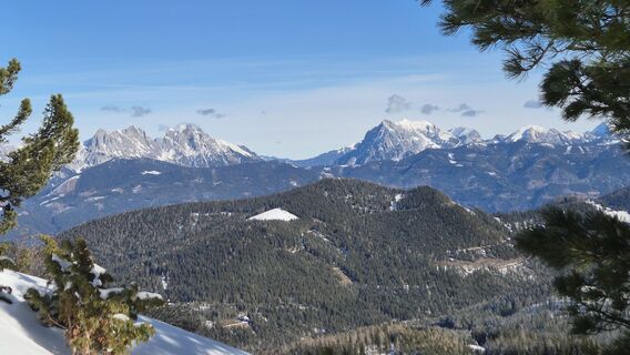 Photo de Niklas Mold le long du parcours