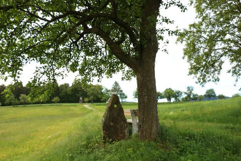 Lochsteinrundweg Riegersbach_Vorau_Oststeiermark