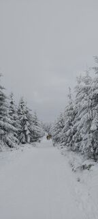 Fotografia z Sylwiasuchy76 na trase