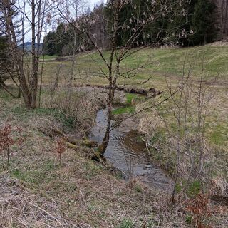 Photo de Marcus Dürr le long du parcours