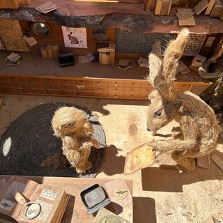 Der Murmeltierpfad ©Archivio Funivia Ciampac e Contrin S.p.A.