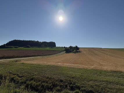 Photo de Schaali le long du parcours