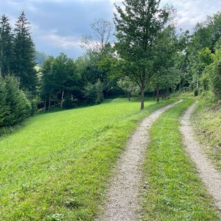 Hambaum Trail Leonstein