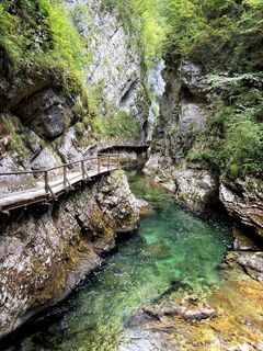 Foto von Yojo entlang der Tour