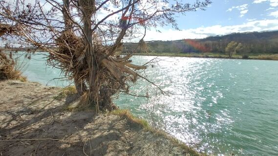 Foto da bergwolfi lungo il tour