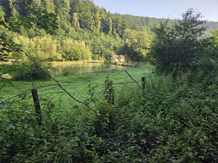 Zdjęcie z Silvio wzdłuż trasy