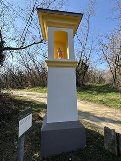 Fotografia z F. Shirazi-Joska na trase